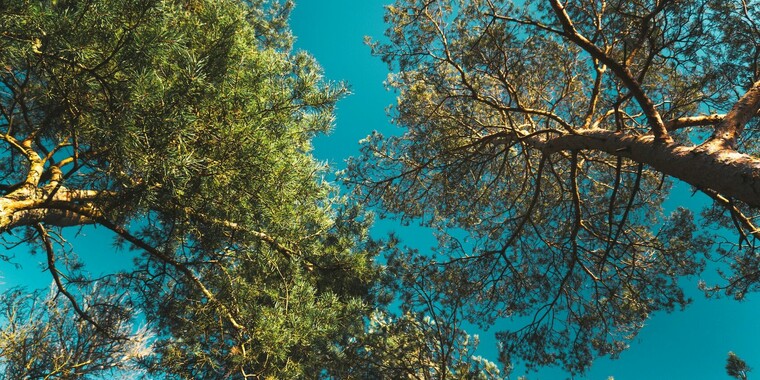 Join the Looking Up Photo Contest Mystery and win Vanguard Backpack ...